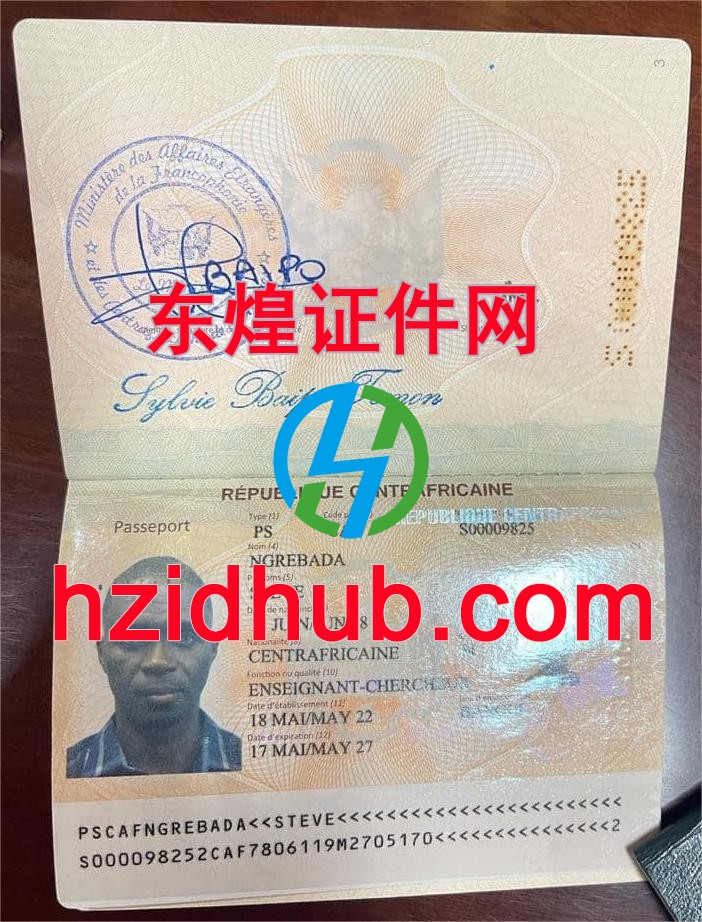 制作高仿中非共和国护照