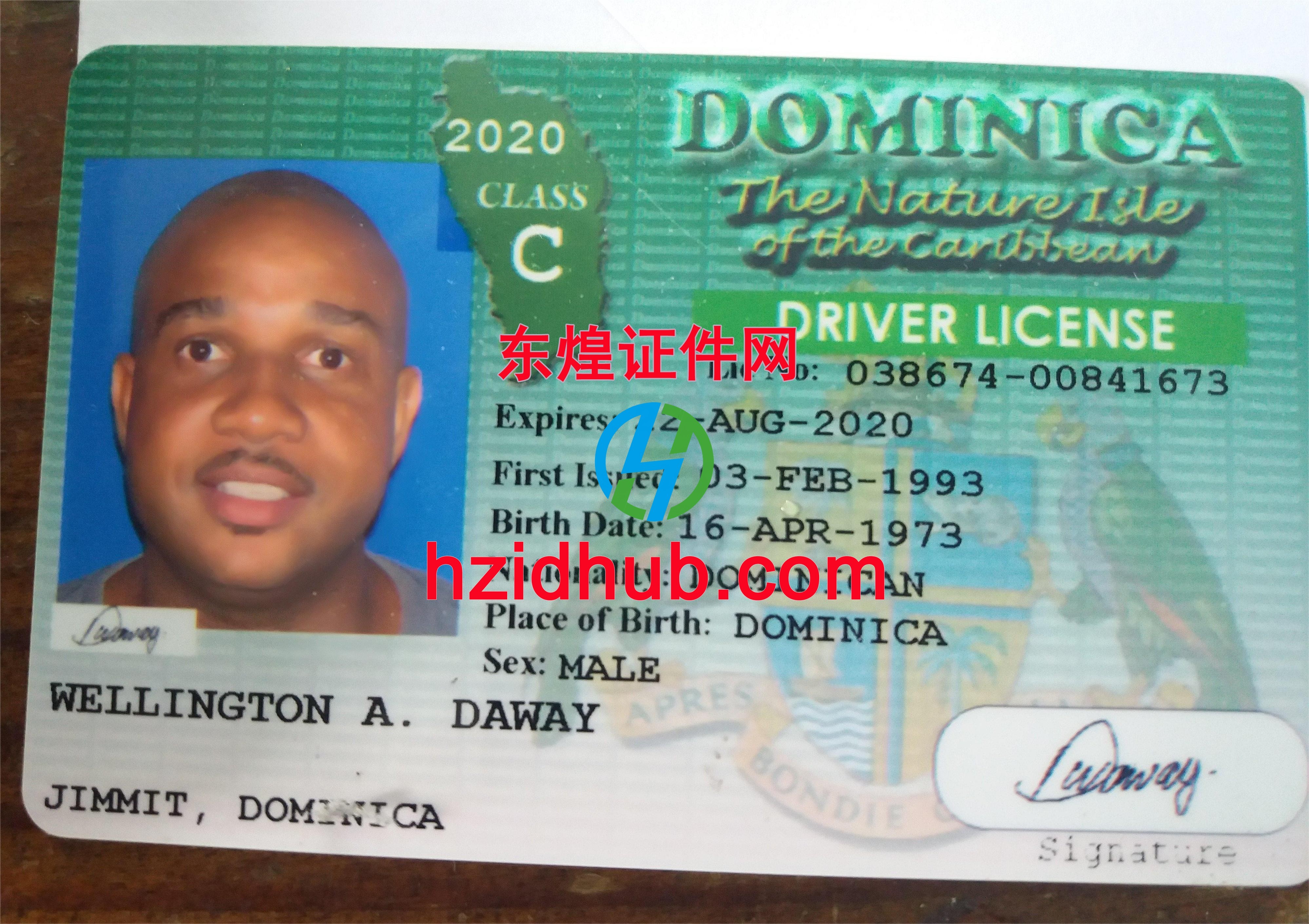 制作高仿多米尼克驾驶证