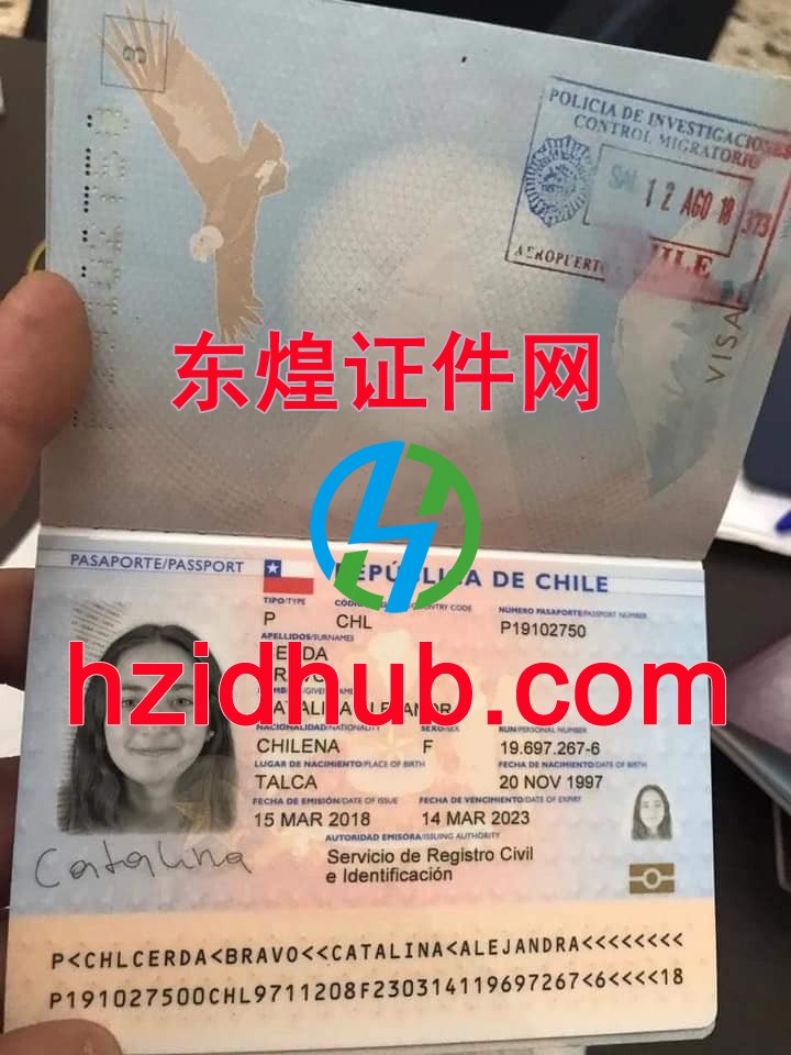 制作高仿智利护照