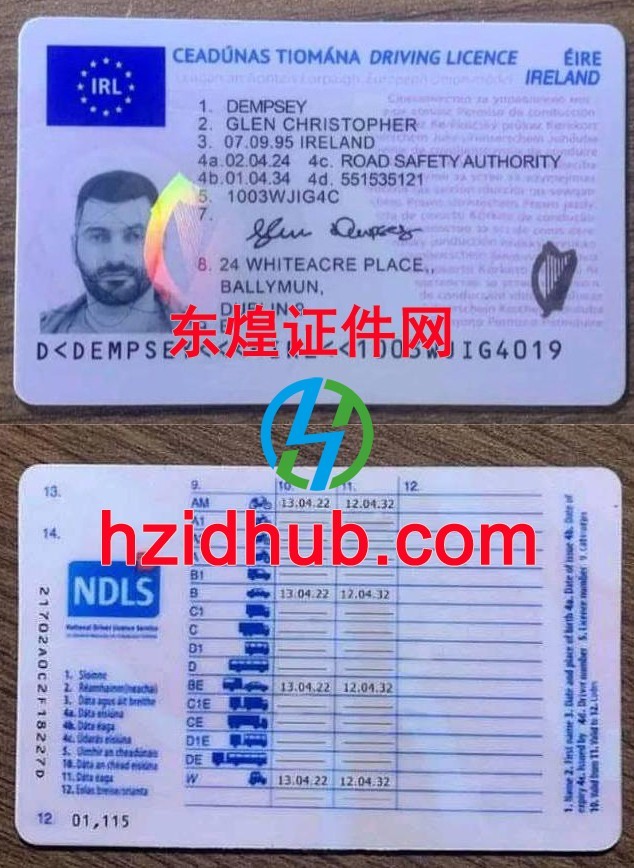 制作高仿爱尔兰驾驶证