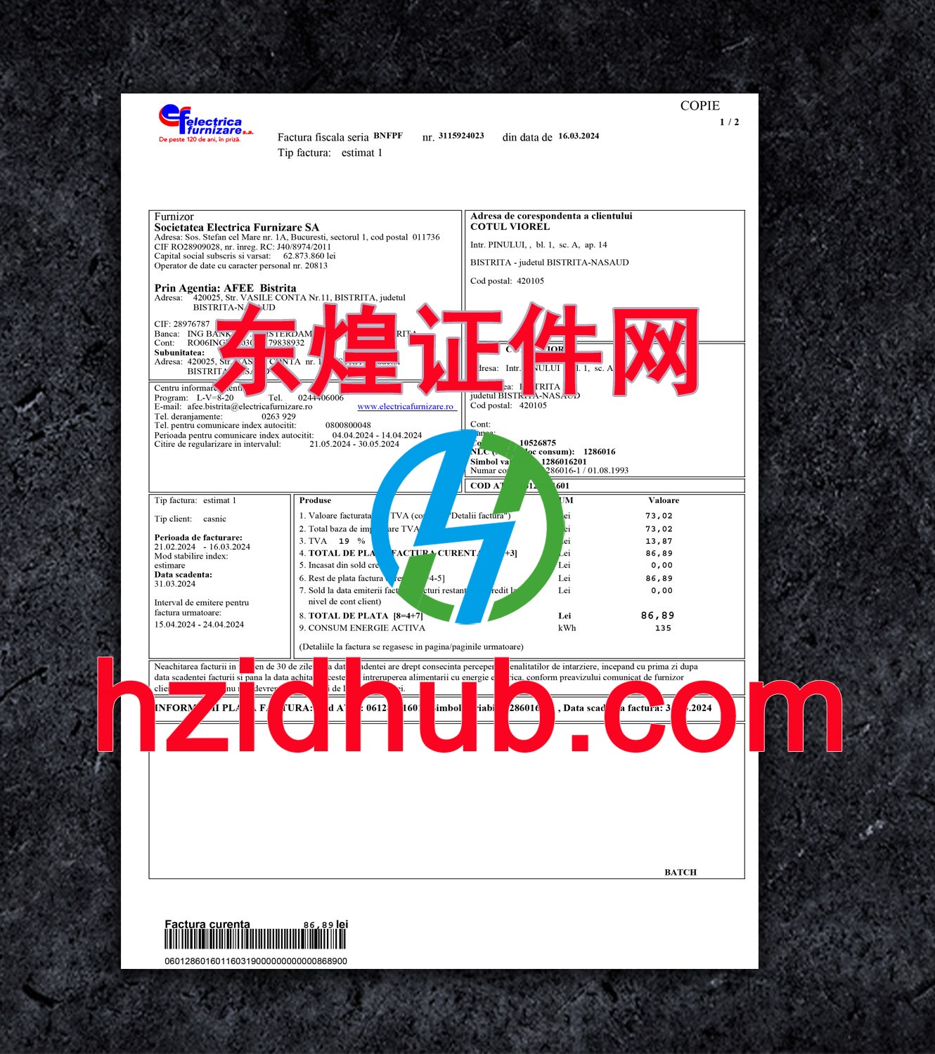 制作高仿罗马尼亚电费账单